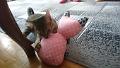 2016-05-12 16.10.47 - Inka